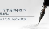(4925)写一个牛逼的小红书单品玩法,淘宝+小红书反向截流!【某公众号付费文章】