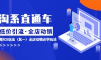 (4936)淘系直通车《低价·引流 全店·动销》超高ROI玩法(其一)全店动销必学玩法
