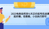 (4937)2023电商自然流七天正价起号实战课:起的慢,但是稳,小白执行即可!
