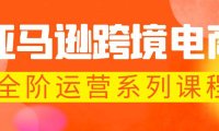 (4946)亚马逊·跨境电商,从0-1全阶段运营课程,让你的店铺快速起爆