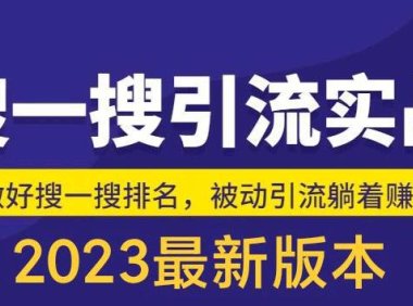 (4617)外面收费980的最新公众号搜一搜引流实训课,日引200+
