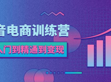 (4628)抖音电商训练营:从入门到精通,从账号定位到流量变现,抖店运营实操