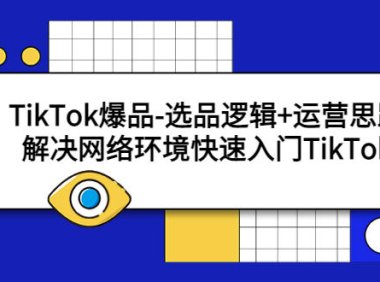 (4638)TikTok爆品-选品逻辑+运营思路:解决网络环境快速入门TikTok