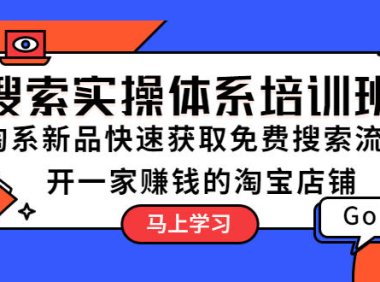 (4639)搜索实操体系培训班:淘系新品快速获取免费搜索流量 开一家赚钱的淘宝店铺