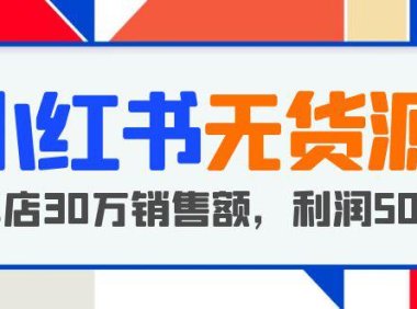 (4647)小红书无货源项目:从0-1从开店到爆单,单店30万销售额,利润50%,干货分享