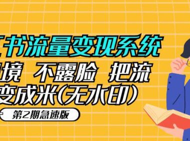 (4653)小红书流量变现系统(第2期急速版)不出境 不露脸 把流量变成米 (无水印高清版)