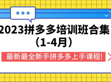 (4669)2023拼多多培训班合集(1-4月),最新最全新手拼多多上手课程!
