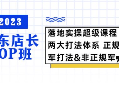 (4679)2023京东店长·POP班 落地实操超级课程 两大打法体系 正规军&非正规军(无水印课程)