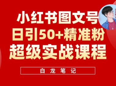 （4686）小红书图文号日引50+精准流量，超级实战的小红书引流课，非常适合新手