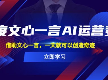 (4687)百度AI·文心一言·运营变现项目,利用文心一言创造新的奇迹