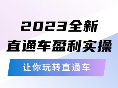 (4695)2023全新直通车实操课程,从底层策略到搭建,带你玩转淘宝直通车