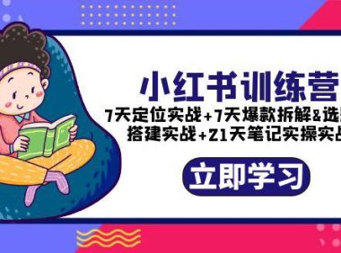 (4701)小红书21天实战实操训练营:账号定位+爆款拆解+选题库搭建