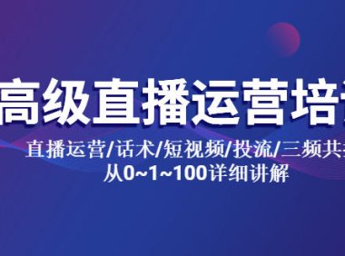 （4713）直播运营从0-1详细讲解培训视频课程，包括话术培训+投流+短视频运营