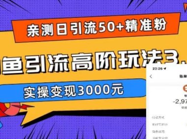 (4718)闲鱼·引流变现·实操课程,实测轻松日引50+精准粉丝