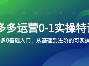 (4727)拼多多·2023运营实操课程,0基础入门拼多多到进阶的全实操课程