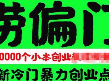 (4730)上千个偏门小本创业项目,总有一个会适合你