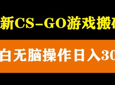 (4739)2023长期steam搬砖·CSGO道具倒卖项目,小白无脑轻松日入300+