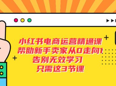 (4742)小红书电商运营实操课程,从0-1全面解析,帮助新手快速入驻小红书