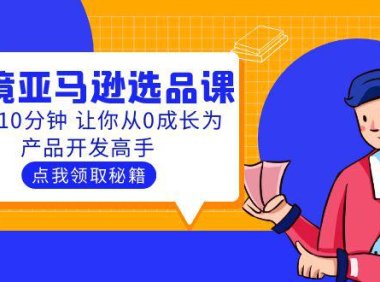 (4755)跨境电商·亚马逊选品实操课程,每天10分钟成为产品开发高手