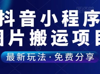 （4784）（免费分享）直接搬运！通过抖音小程序日入500+没问题！