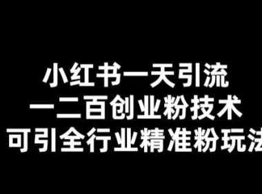 （4801）小红书·全行业精准粉引流技术，一天轻松引200+创业粉