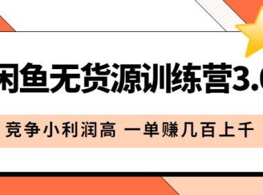 (4808)新版·闲鱼无货源电商技术,竞争低利润高的选品方法,一单轻松几百(教程+手册)