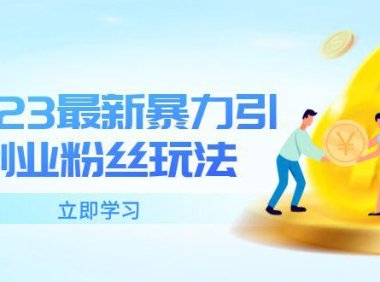 (4829)2023创业粉暴力引流玩法,单日被动引流50+