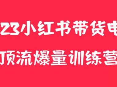 (4830)小红书电商训练营,月入3w+的养生花茶玩法