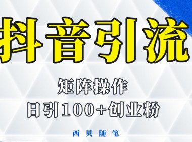 (4854)抖音矩阵引流创业粉,一天轻松引100+