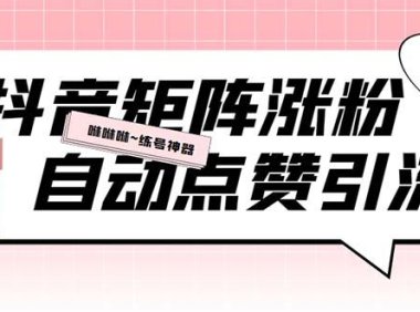 (4886)抖音矩阵涨粉挂机项目,全自动化操作【软件+视频教程】
