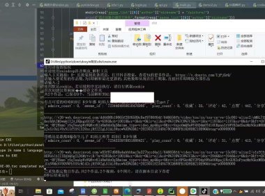 （4890）（免费分享）小风·抖音视频主页爬虫工具，一键解析下载无水印视频