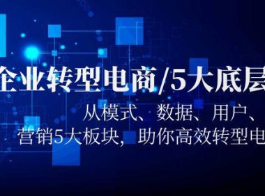 (4924)企业转型电商/5大底层逻辑,从模式 数据 用户 产品 营销5大板块,高效转型
