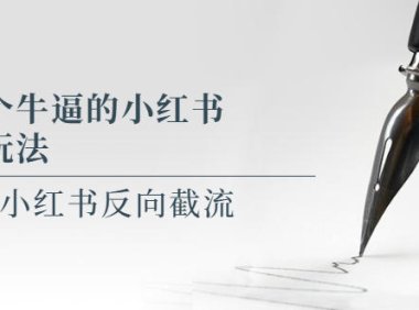 (4925)写一个牛逼的小红书单品玩法,淘宝+小红书反向截流!【某公众号付费文章】