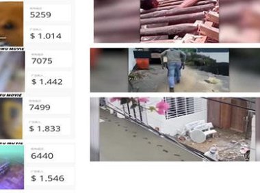 （4930）外面收费8000的febspot撸美金 单日收益30美金+工作室可批量搞【详细玩法】