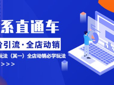 (4936)淘系直通车《低价·引流 全店·动销》超高ROI玩法(其一)全店动销必学玩法