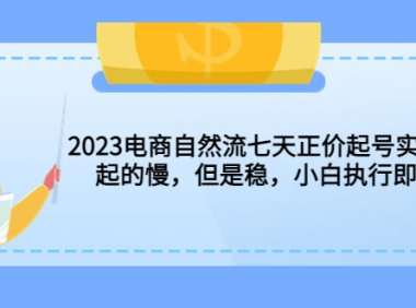 (4937)2023电商自然流七天正价起号实战课:起的慢,但是稳,小白执行即可!