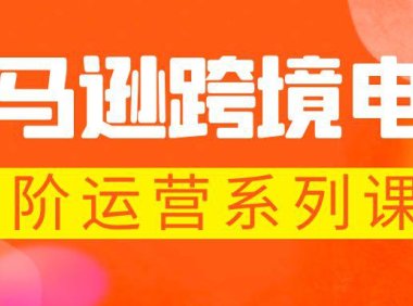 (4946)亚马逊·跨境电商,从0-1全阶段运营课程,让你的店铺快速起爆