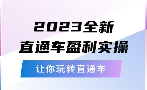 （4695）2023全新直通车实操课程，从底层策略到搭建，带你玩转淘宝直通车