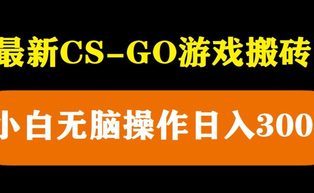 （4739）2023长期steam搬砖·CSGO道具倒卖项目，小白无脑轻松日入300+