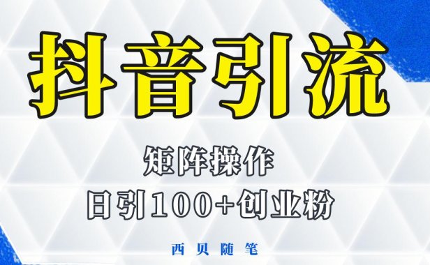 (4854)抖音矩阵引流创业粉,一天轻松引100+