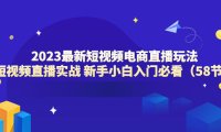 (4982)2023电商·短视频+直播玩法教学:0基础小白从0-1实操课程(58节)