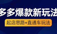 (5002)2023拼多多·爆款新玩法:从0-1起店思路+直通车玩法