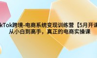 (5026)跨境电商·tiktok变现训练营:0基础小白也能学的跨境课程