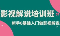 (5038)2023中视频·影视解说实战培训:0基础新手入门包教包会(10节视频课)