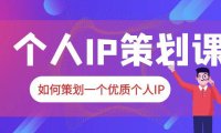 (5043)个人IP策划·2023新课:普通人也能起飞的个人IP项目(5043)