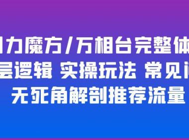 (4991)淘宝·引力魔方/万相台系统课程:底层逻辑讲解+投放流量实操