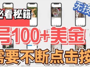 （4992）无脑操作项目·只需要不断点按钮：单号最高拿100美刀，可批量操作