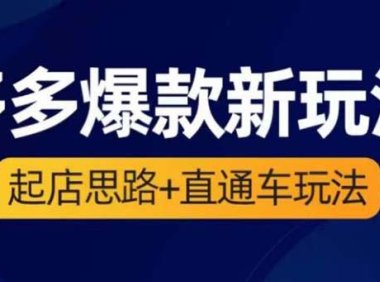 (5002)2023拼多多·爆款新玩法:从0-1起店思路+直通车玩法