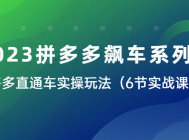 (5004)2023拼多多·新店飙车系列课程:直通车从0-1实操玩法(6节实战课)
