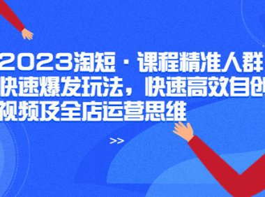 (5012)2023·淘宝短视频:精准流量快速爆发玩法,快速高效自创视频+全店运营思维